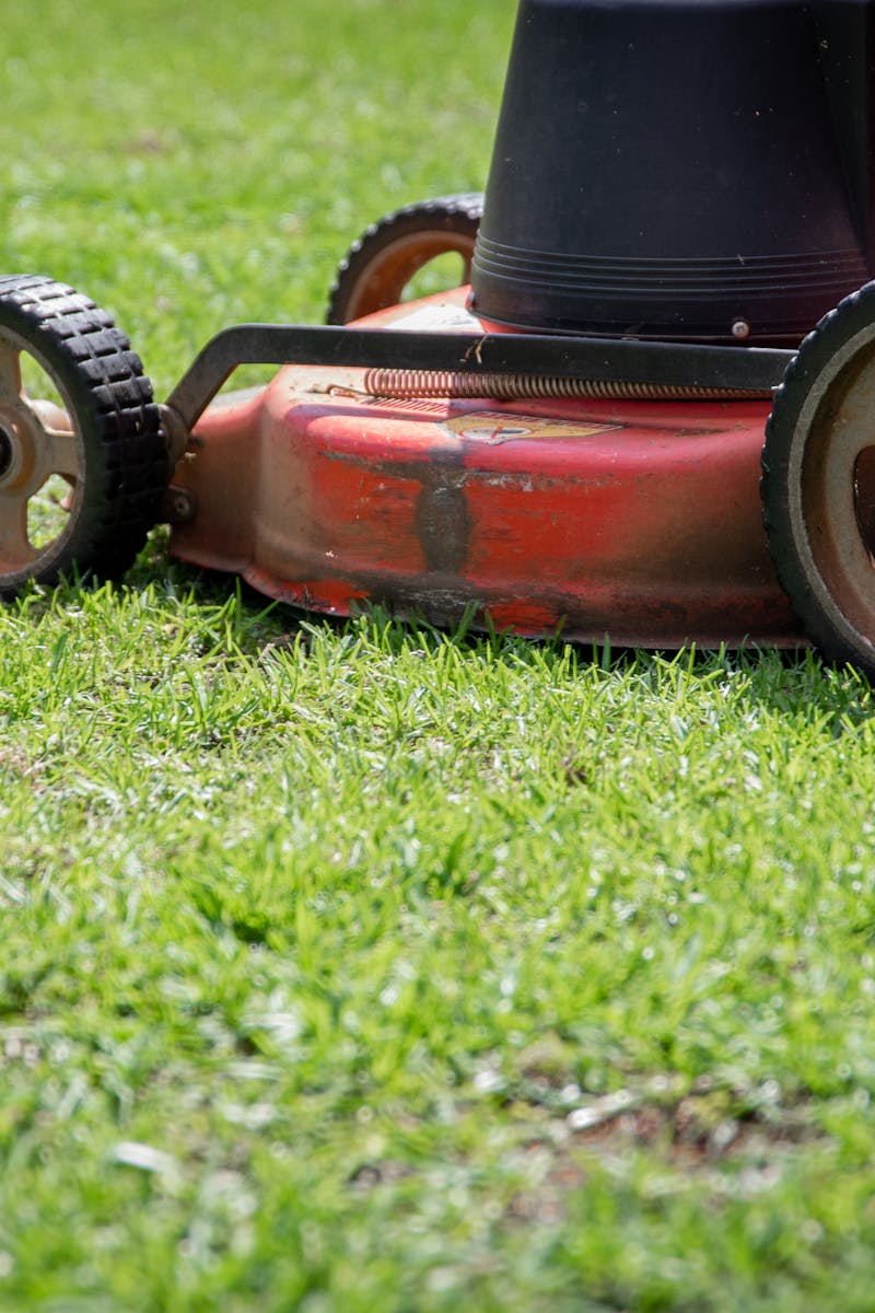Photo showing a close-up of a lawn mower cutting fresh green grass on a sunny day.