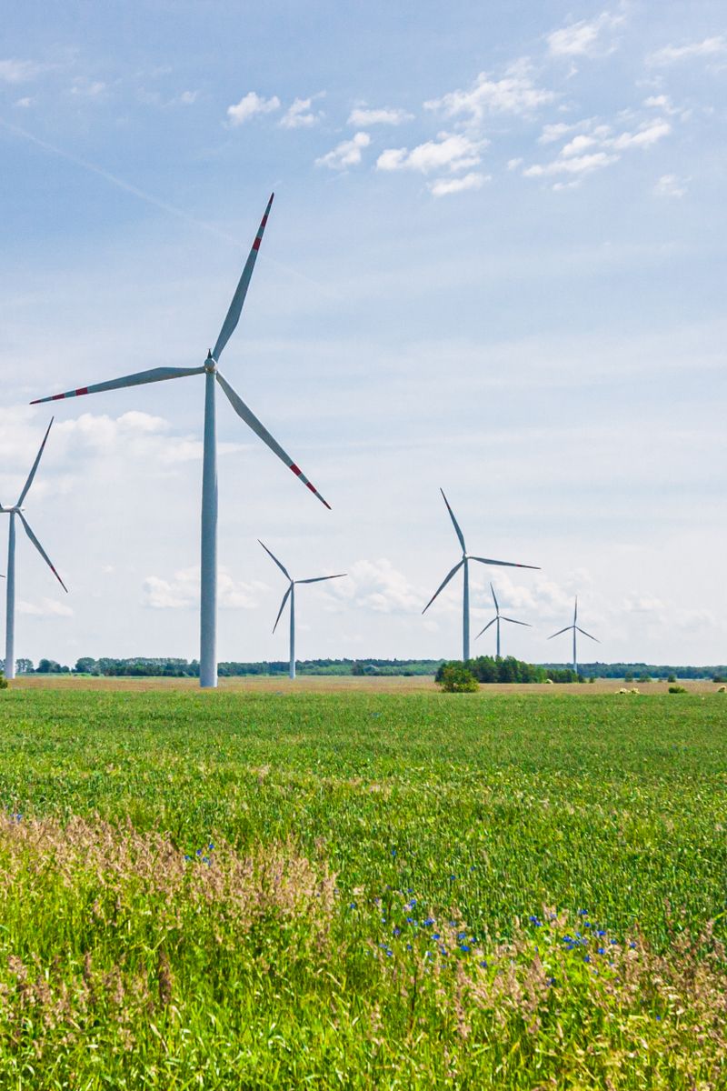 Wind turbines generating clean energy in a lush green landscape under a clear blue sky.